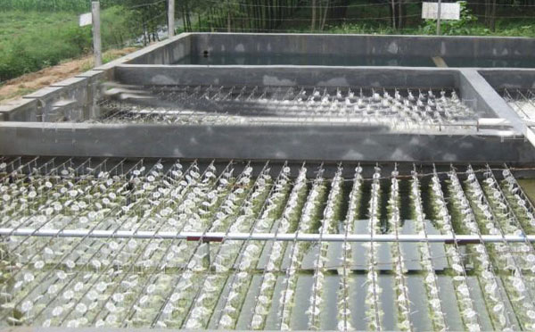 屠宰廢水處理成套設備產品優勢 屠宰廢水處理成套設備產品優勢